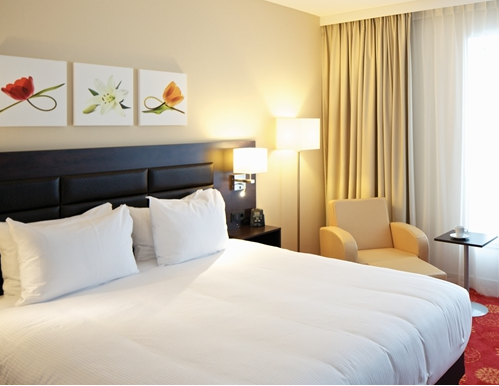 Hilton Garden Downtown Mini-hôtel 3*